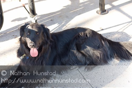 Grand_Avenue_2008-08-24_IMG_1517